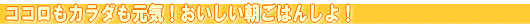 �R�R�����J���_�����C�I�������������͂񂵂�I